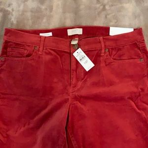 NWT Loft red velvet pants
